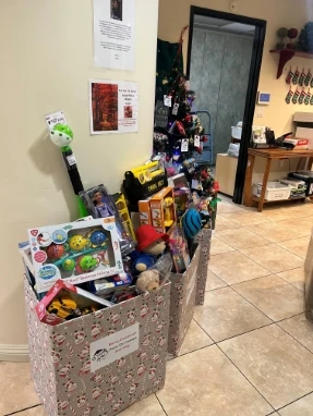 Decorated boxes filled with toys next to a Christmas tree and holiday-themed posters in a dental office.